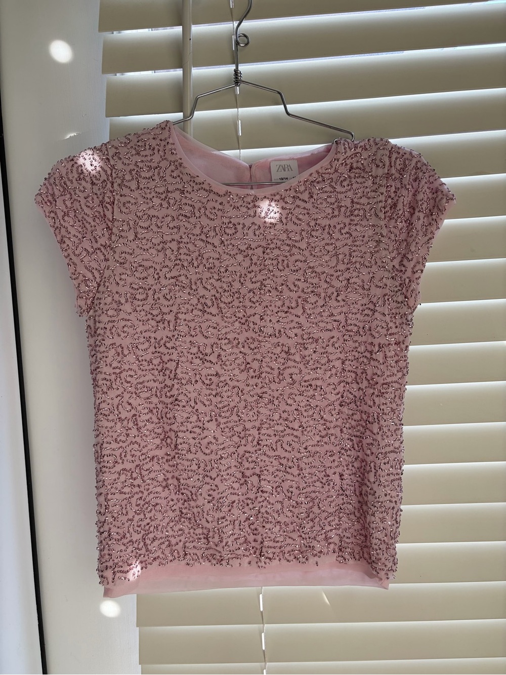 Zara Pink Sequin Short Sleeve Top